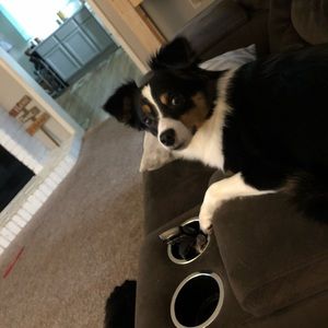 Meet your Posher, Emily